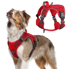 Rabbitgoo tactical dog harness medium chest strap for secure training and walking