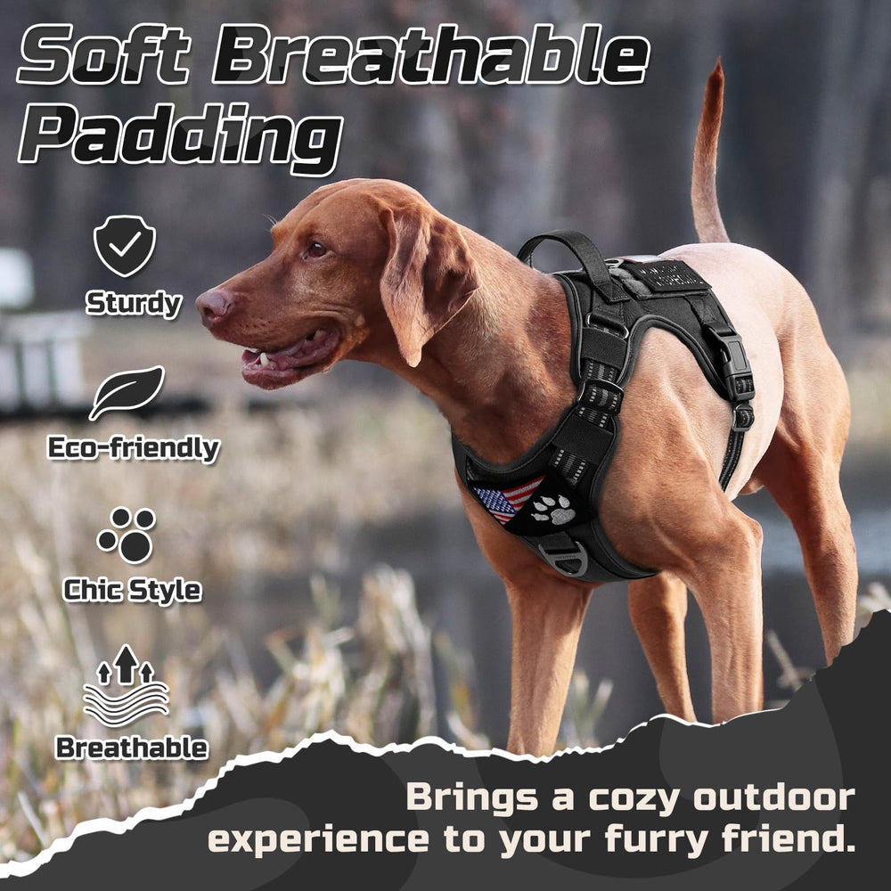 Rabbitgoo harness doubles as a MOLLE-ready platform for accessories.