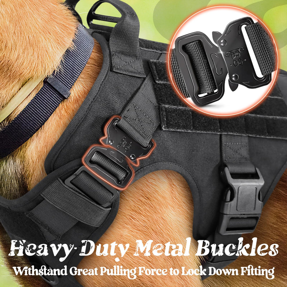 Rabbitgoo MOLLE system on both sides for pouches and gear.