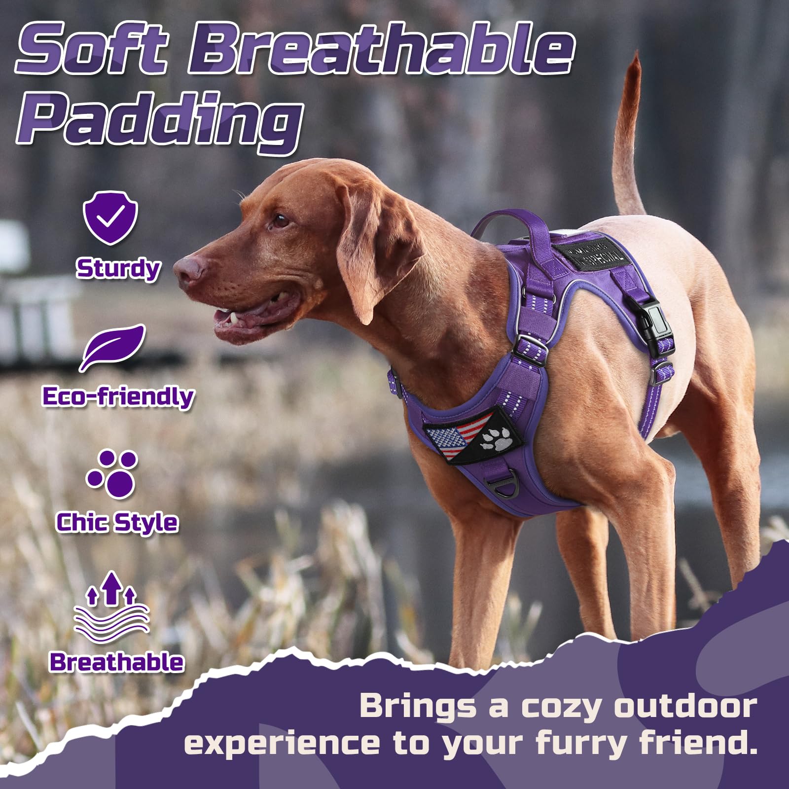 Rabbitgoo harness showing MOLLE system for patches and pouches.