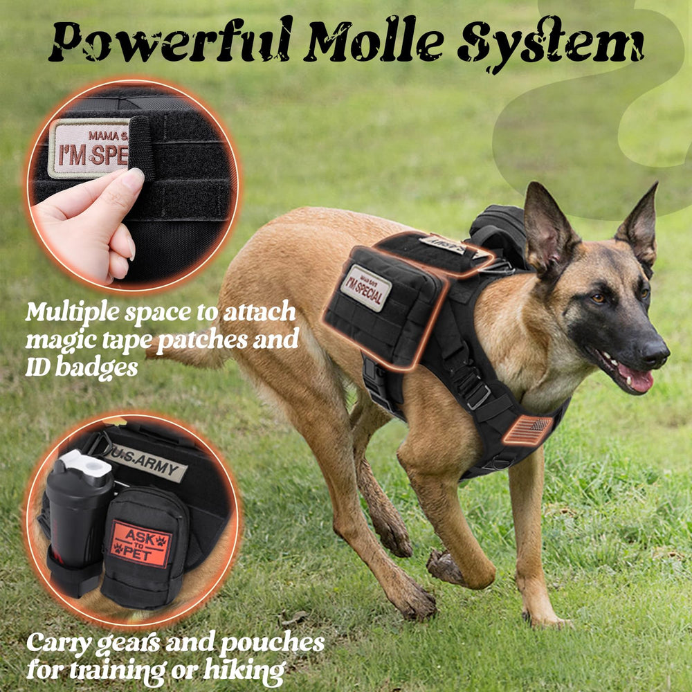 Rabbitgoo 1050D nylon harness highlighting rugged durability for field use.