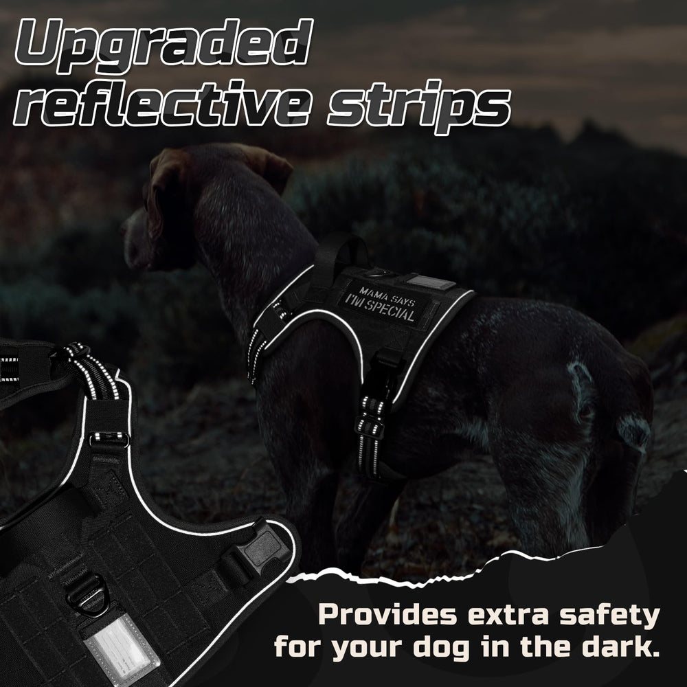 Rabbitgoo padded handle offers control when loading or boarding.