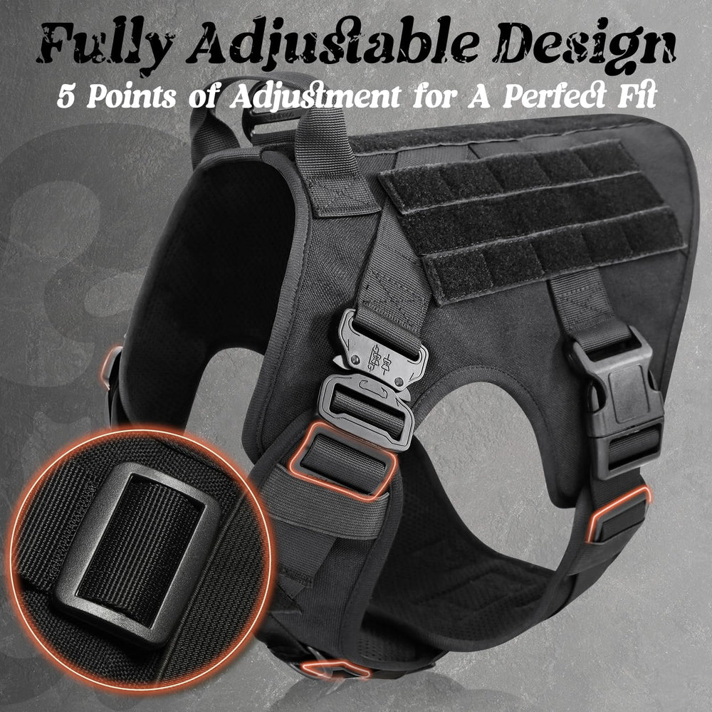 Rabbitgoo patch area supports morale badges and customization for dogs.