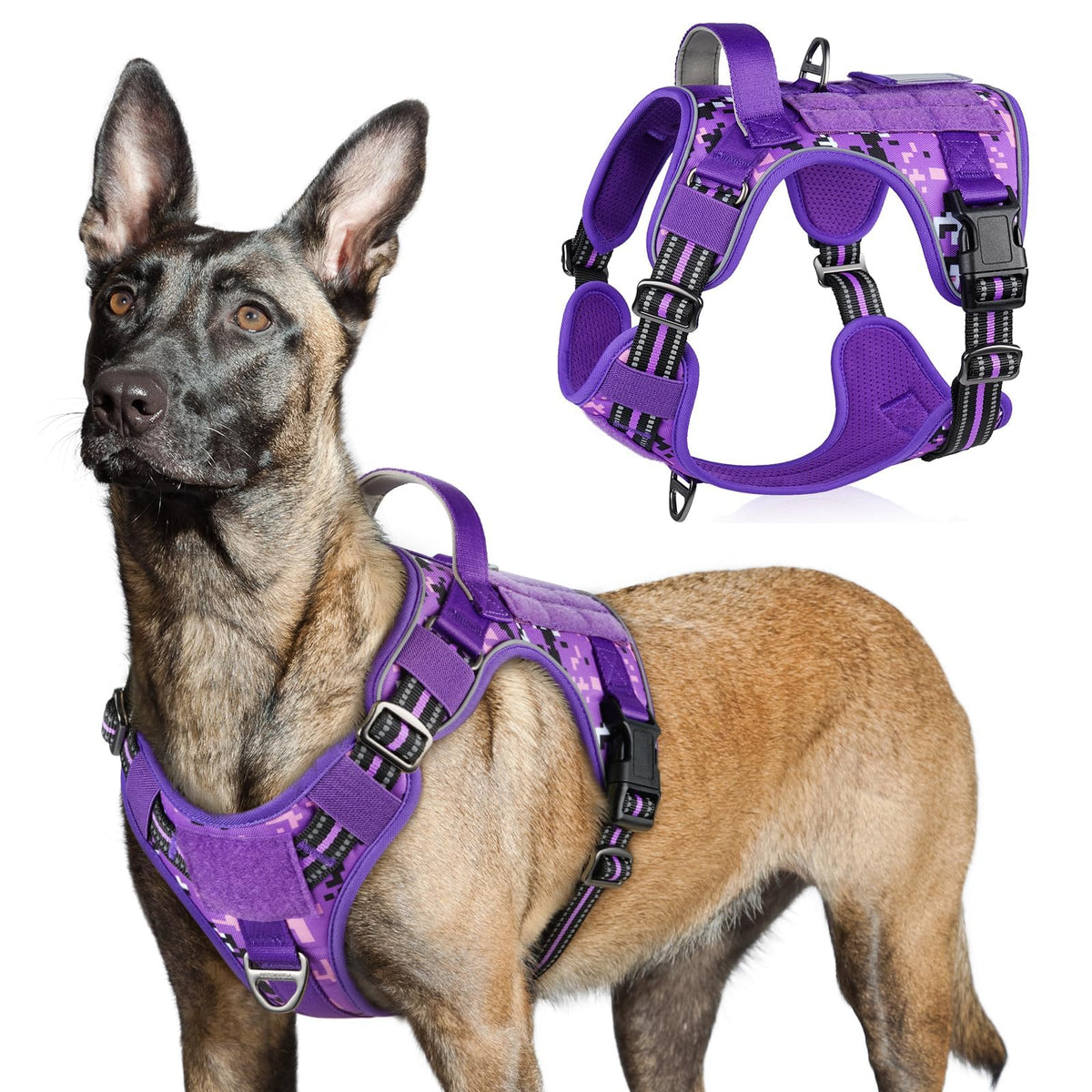 Rabbitgoo Tactical Harness in purple camo shows all-around durability for daily walks
