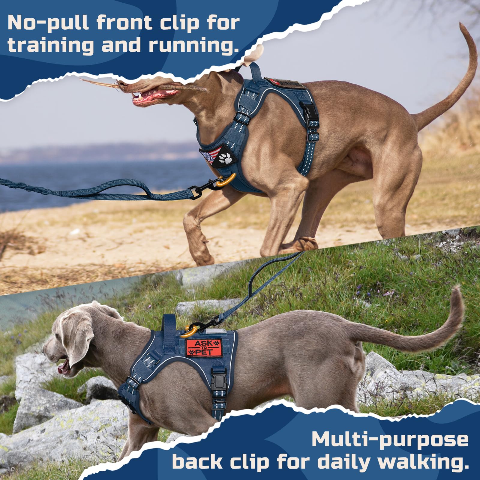 Rabbitgoo quick-release buckles simplify on/off without sacrificing security.