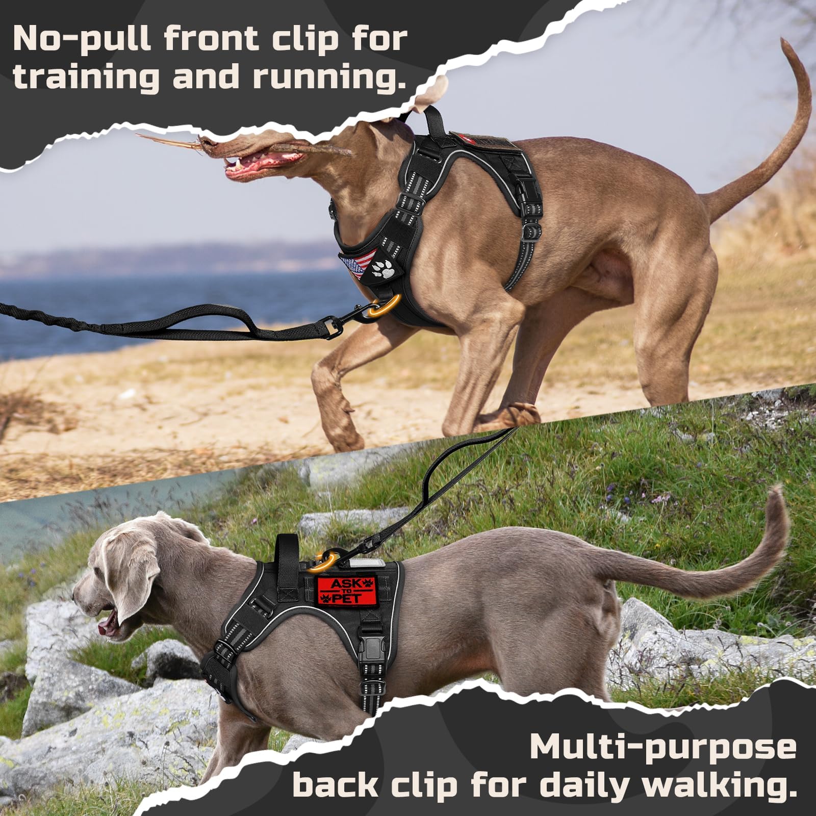 Rabbitgoo harness with reflective trims for safer night walks