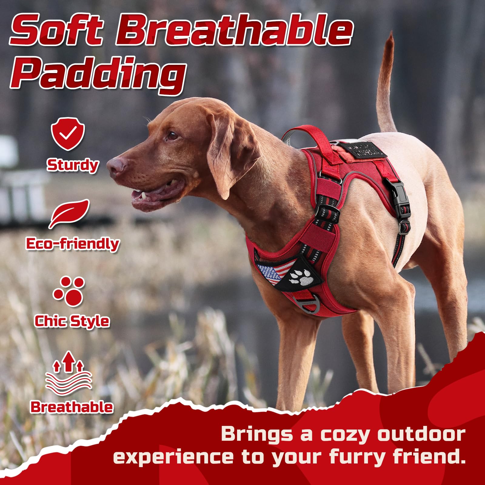 Reflective trims boost visibility during night walks for safety.