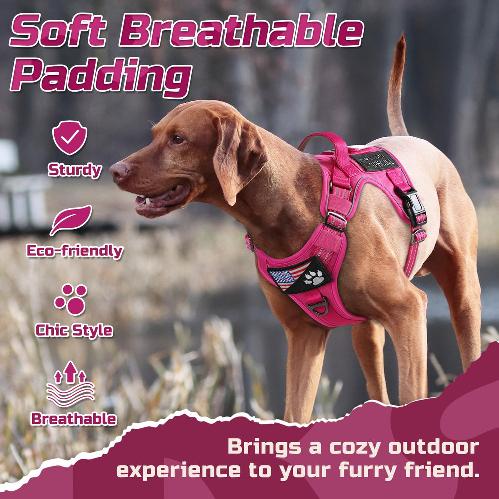 Rabbitgoo rose-red color adds a bold look for high-visibility adventures.