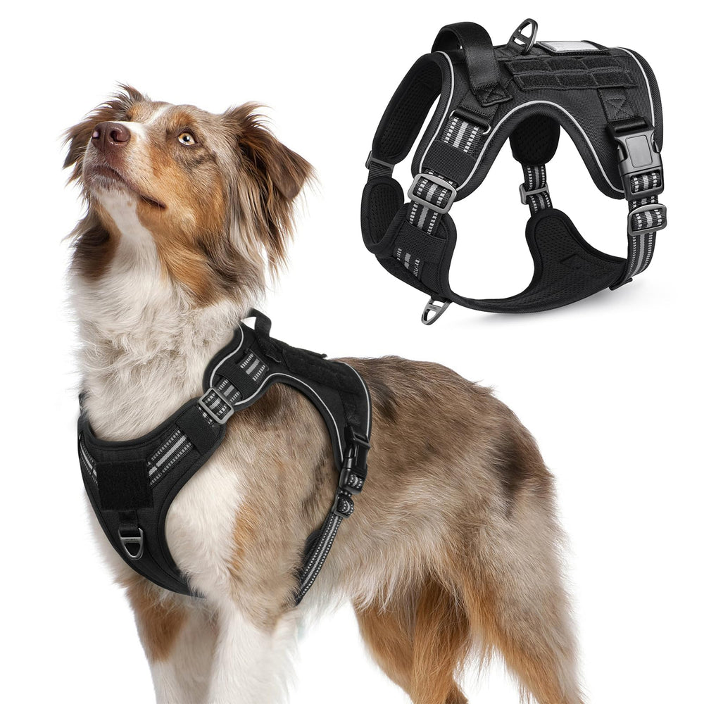 Rabbitgoo tactical dog harness with MOLLE panels on the sides for gear attachment on hikes.