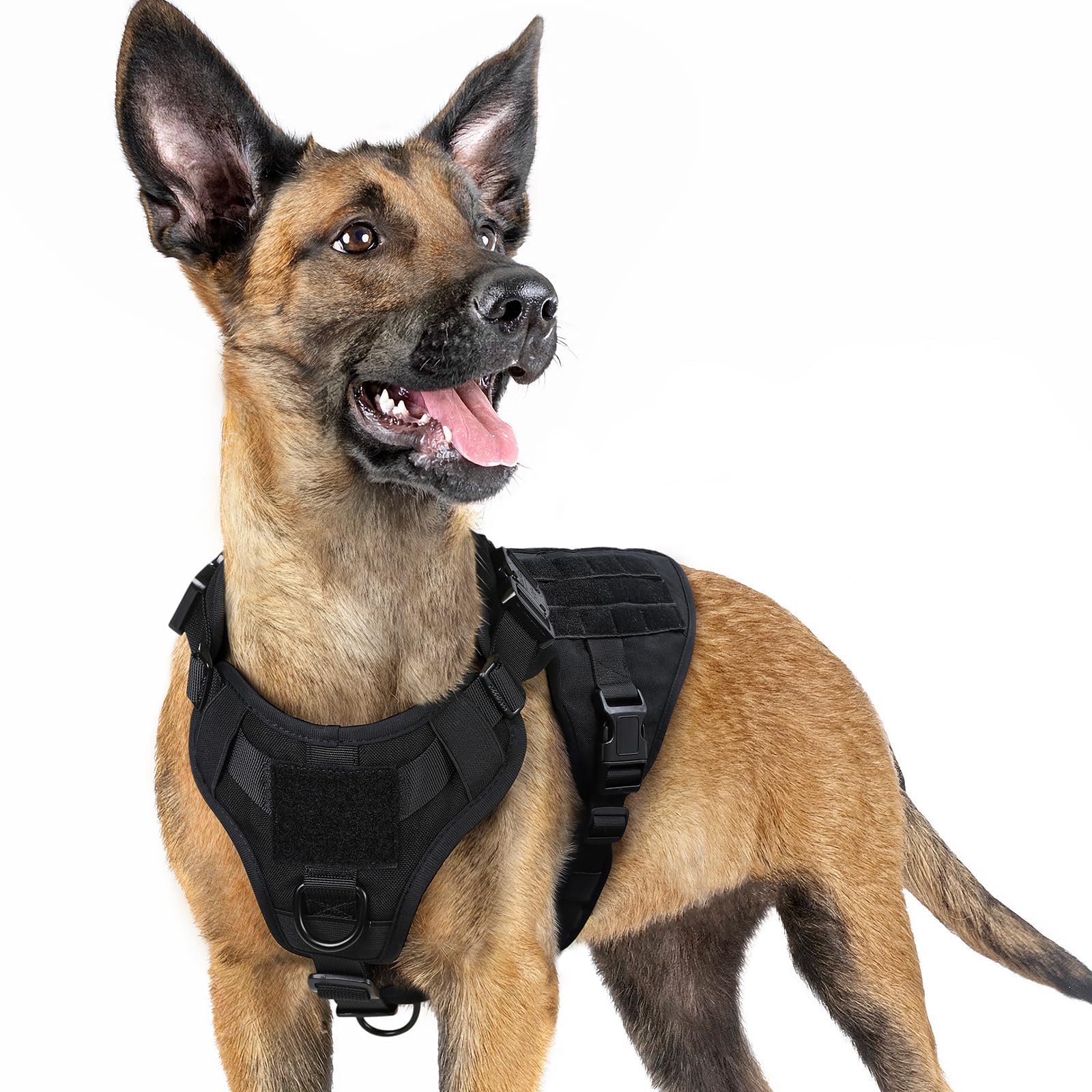 Rabbitgoo tactical dog harness front view for small breeds with secure fit