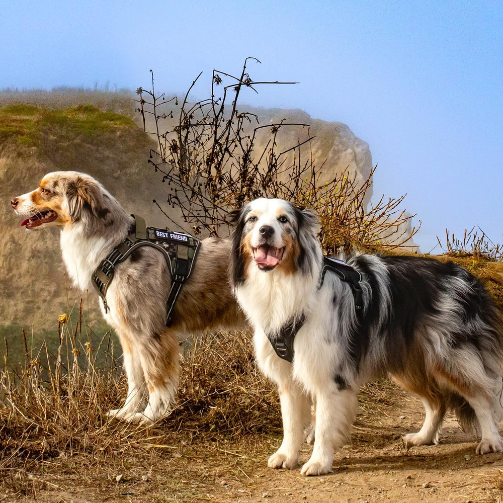 Rabbitgoo tactical harness soft padding keeps dogs comfortable.