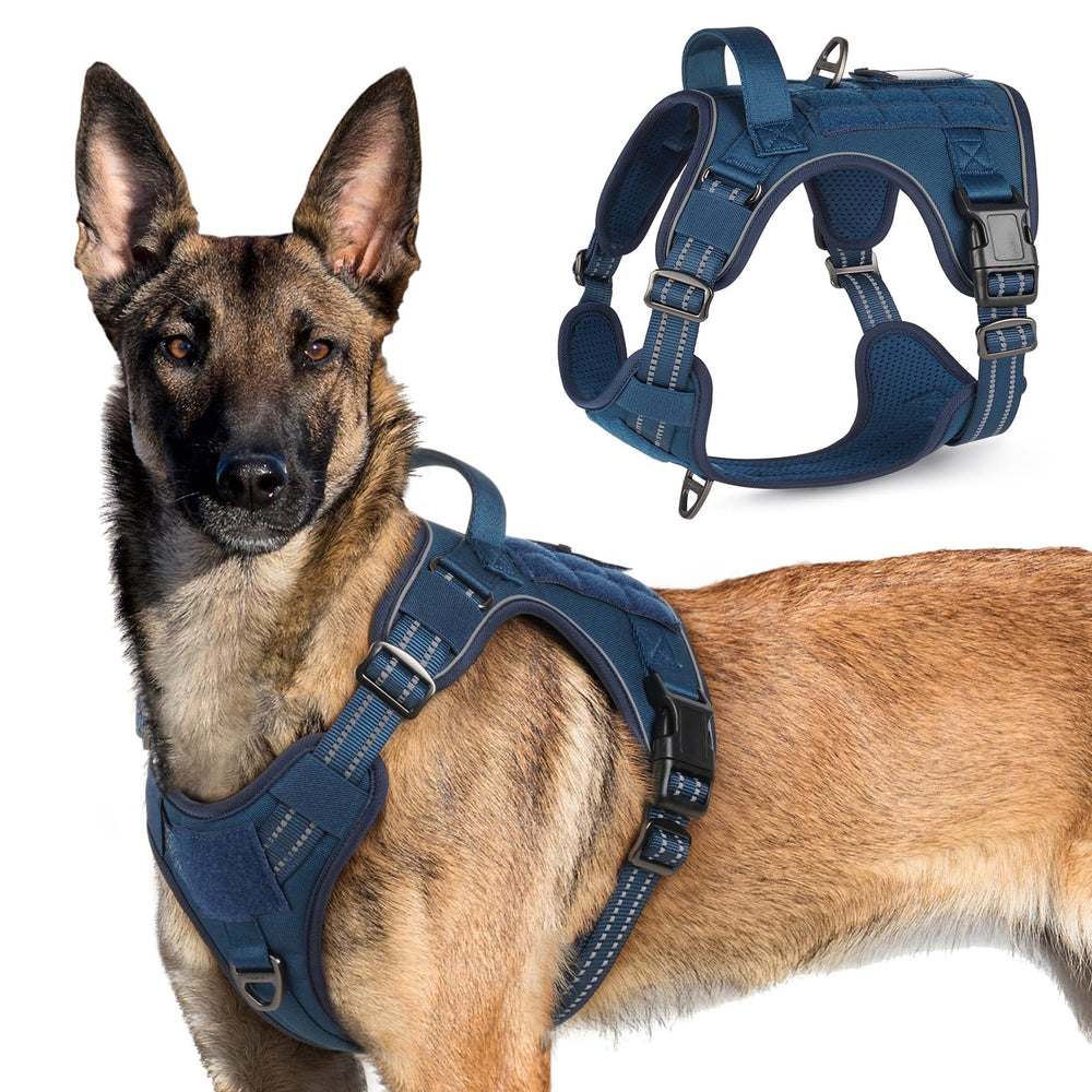 Rabbitgoo tactical harness blue XL front view showing secure fit for training