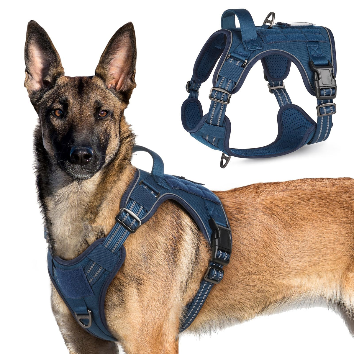 Rabbitgoo tactical harness blue XL front view showing secure fit for training