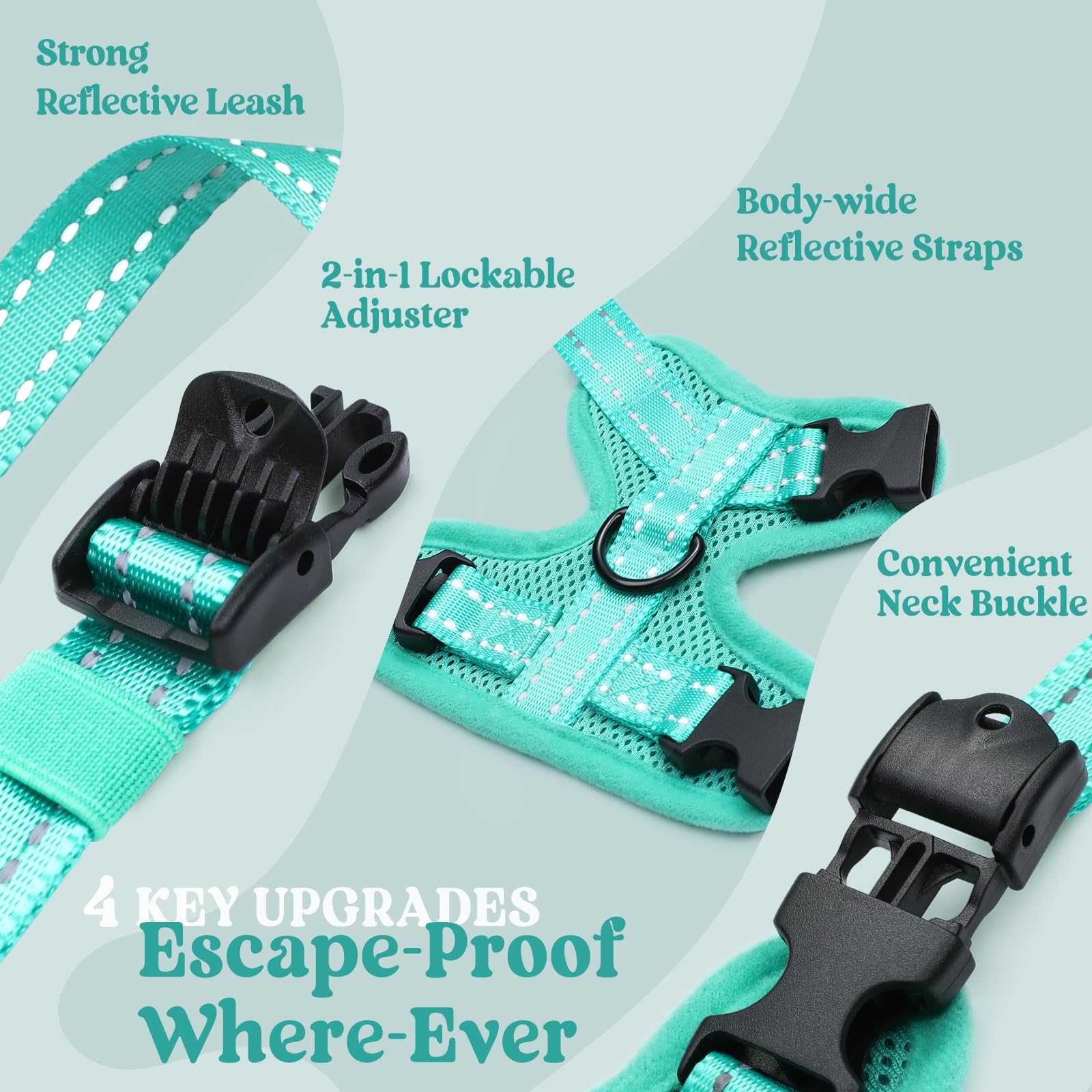 Rabbitgoo three-buckle system shows a snug, adjustable escape-resistant fit.