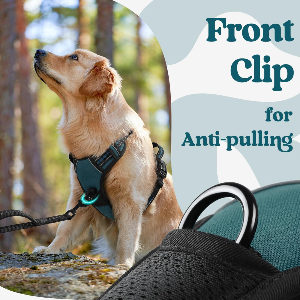 Rabbitgoo three quick-release buckles simplify wearing without head passage
