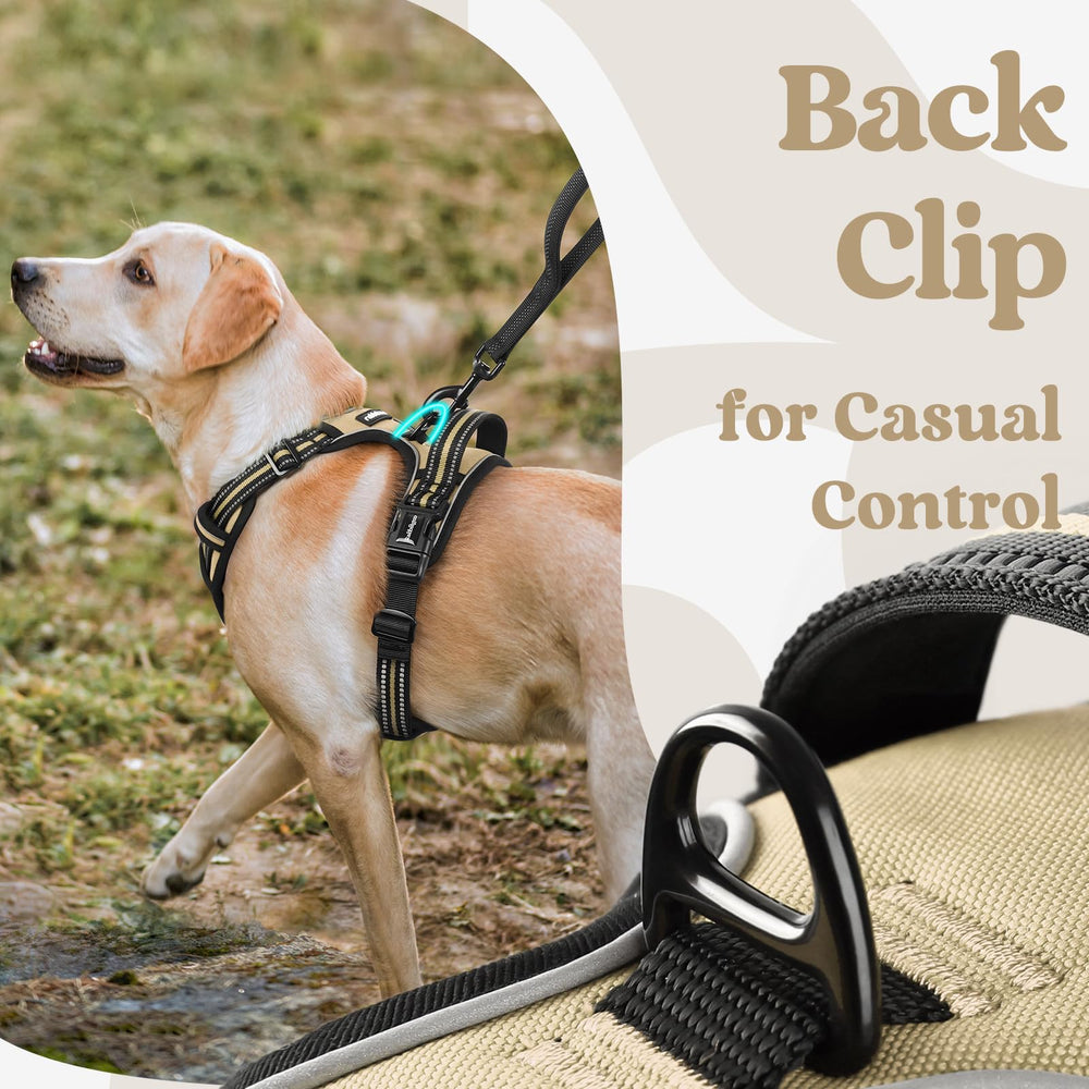 Rabbitgoo top handle offers added control for training sessions.