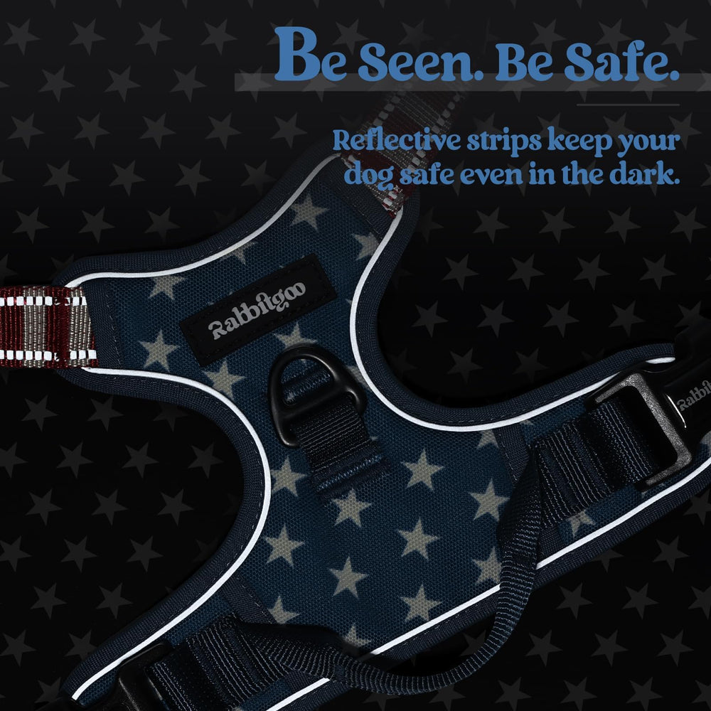 Rabbitgoo top-handle control for improved training and handling.