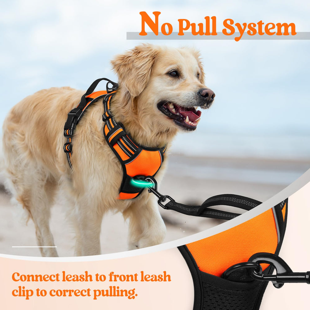 Rabbitgoo top-handle for extra control during crowded walks