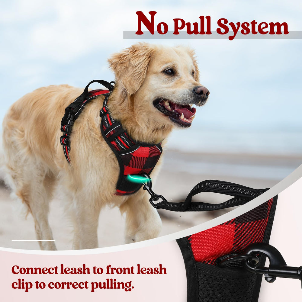 top handle on rabbitgoo harness provides extra control during training