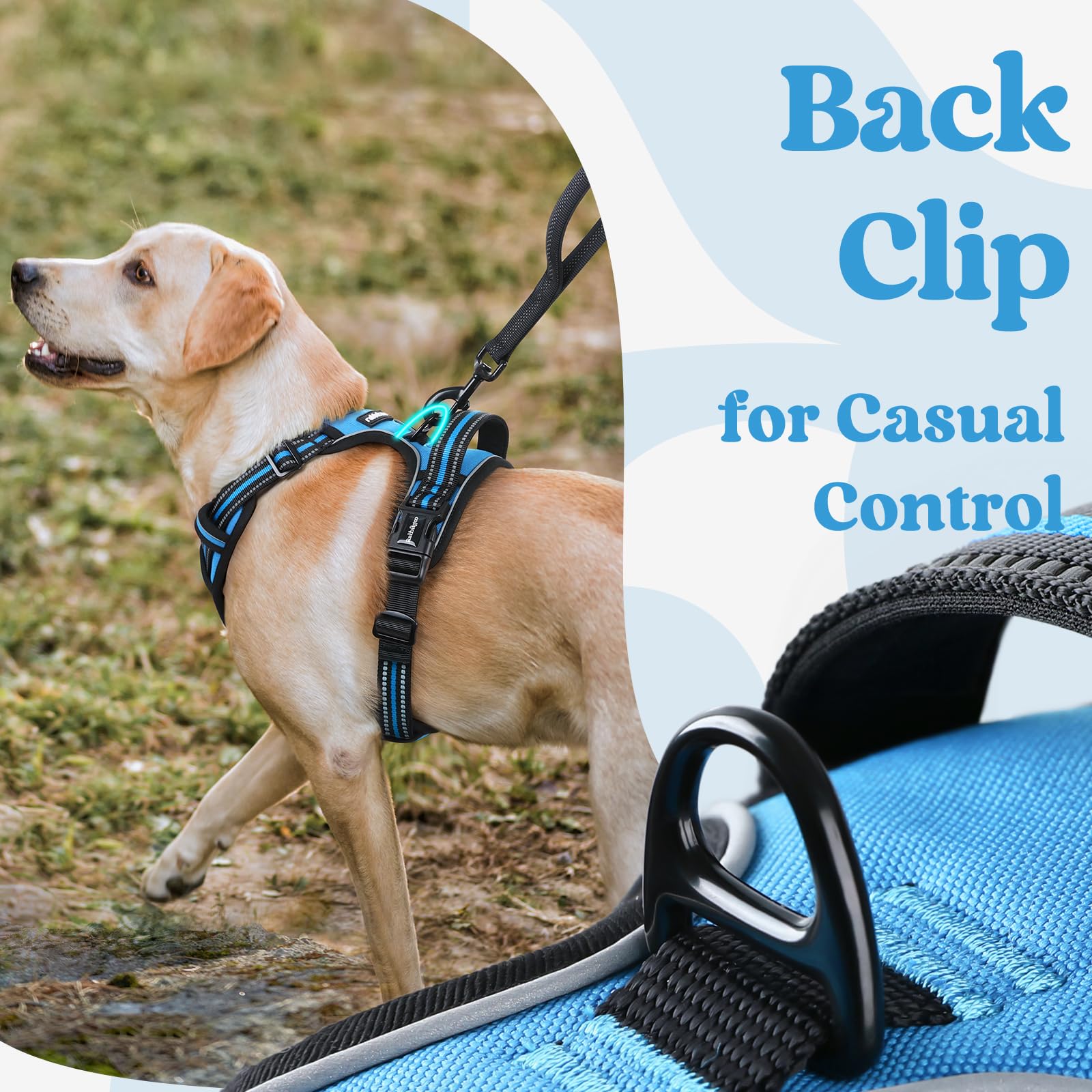 Rabbitgoo top handle provides secure grip for control during training