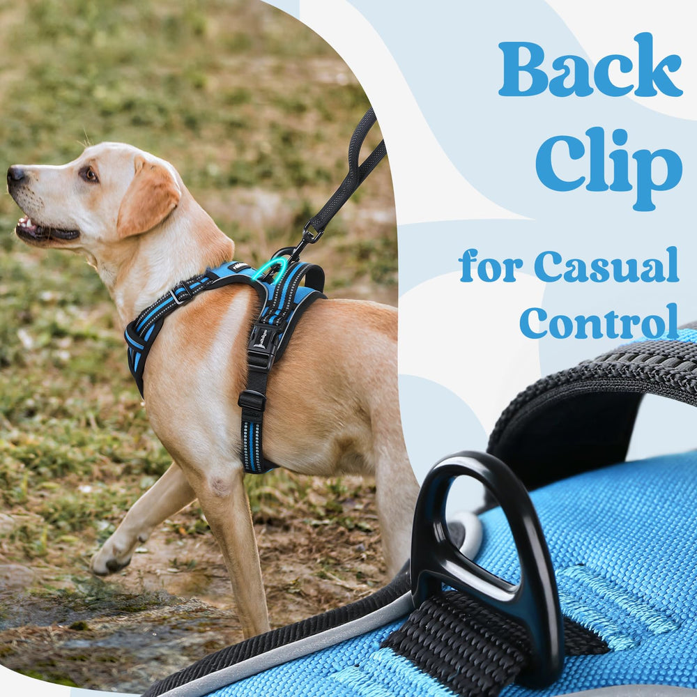 Rabbitgoo top handle provides secure grip for control during training