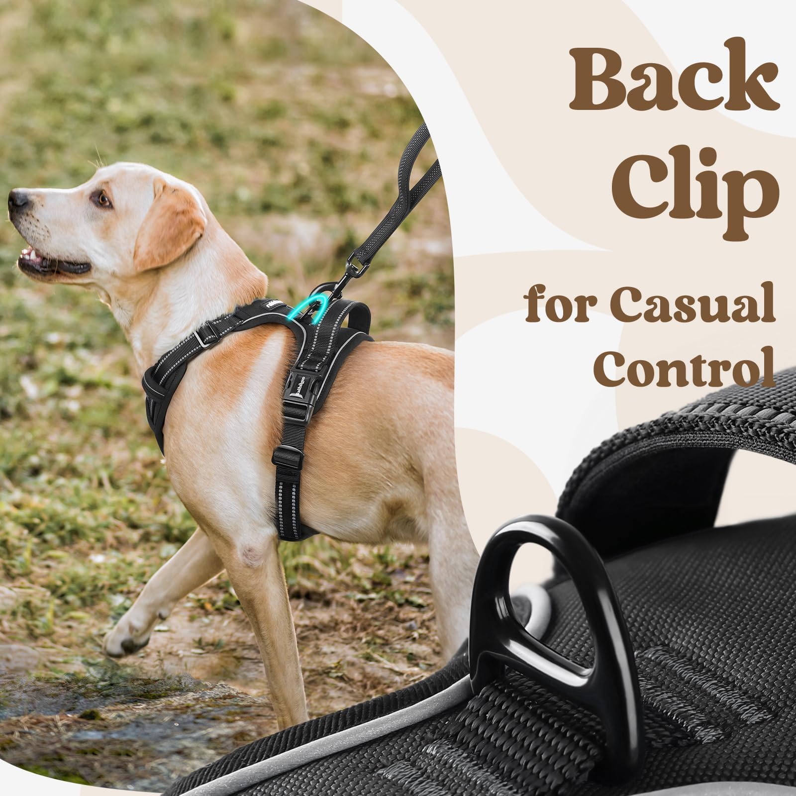 Rabbitgoo wide top handle for secure control during training