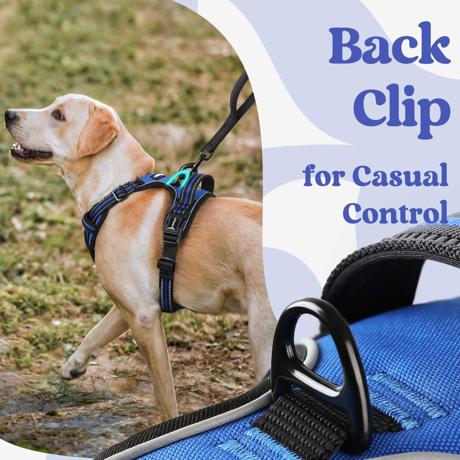Rabbitgoo widened top handle for easy, controlled handling during walks.