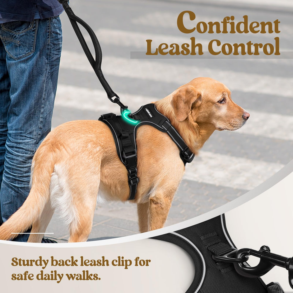 Rabbitgoo top handle for extra control during training and hikes.