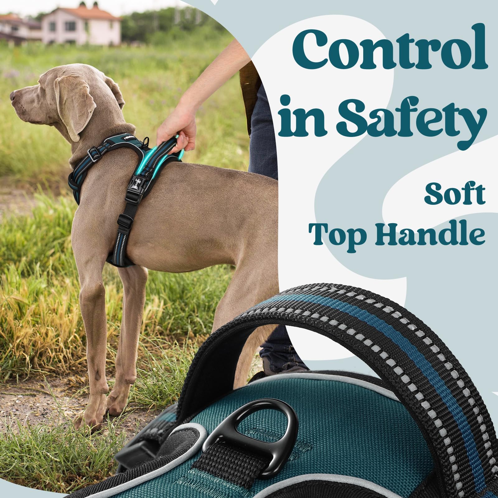 Rabbitgoo top handle offers gentle control and training support