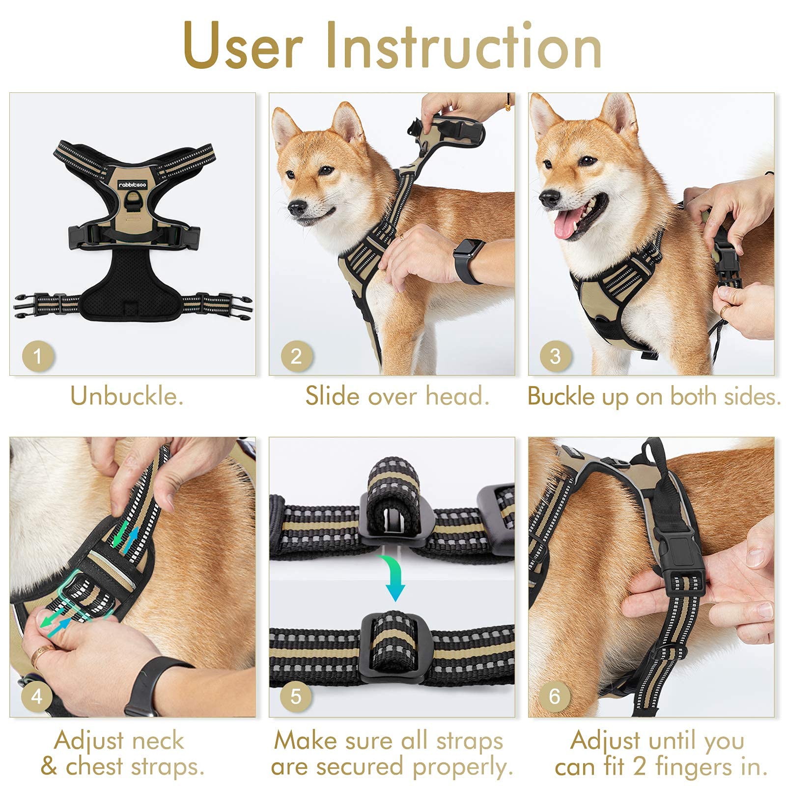 Rabbitgoo top-handle provides extra control during walks