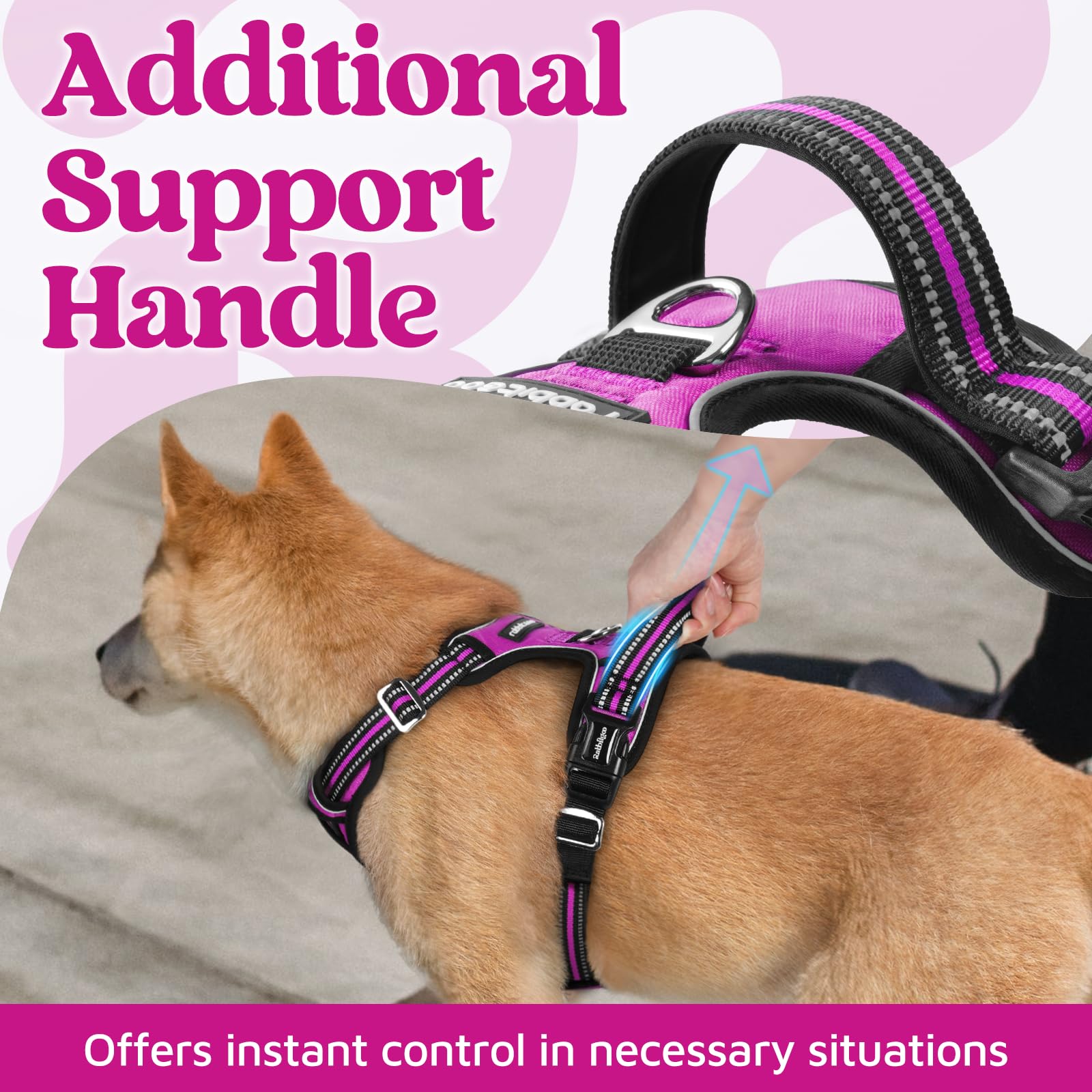 Close-up of Rabbitgoo top handle for secure control during outings