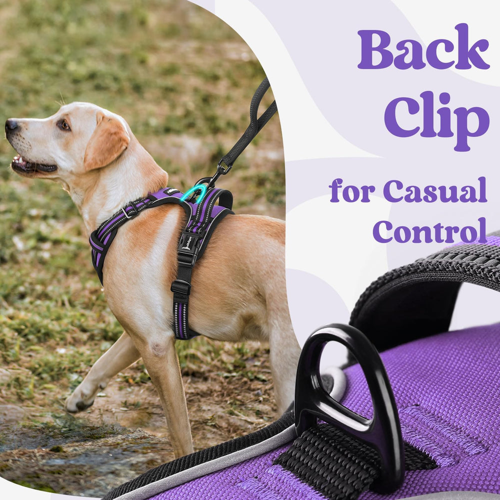 Rabbitgoo top-handle for secure control during training or assistance.
