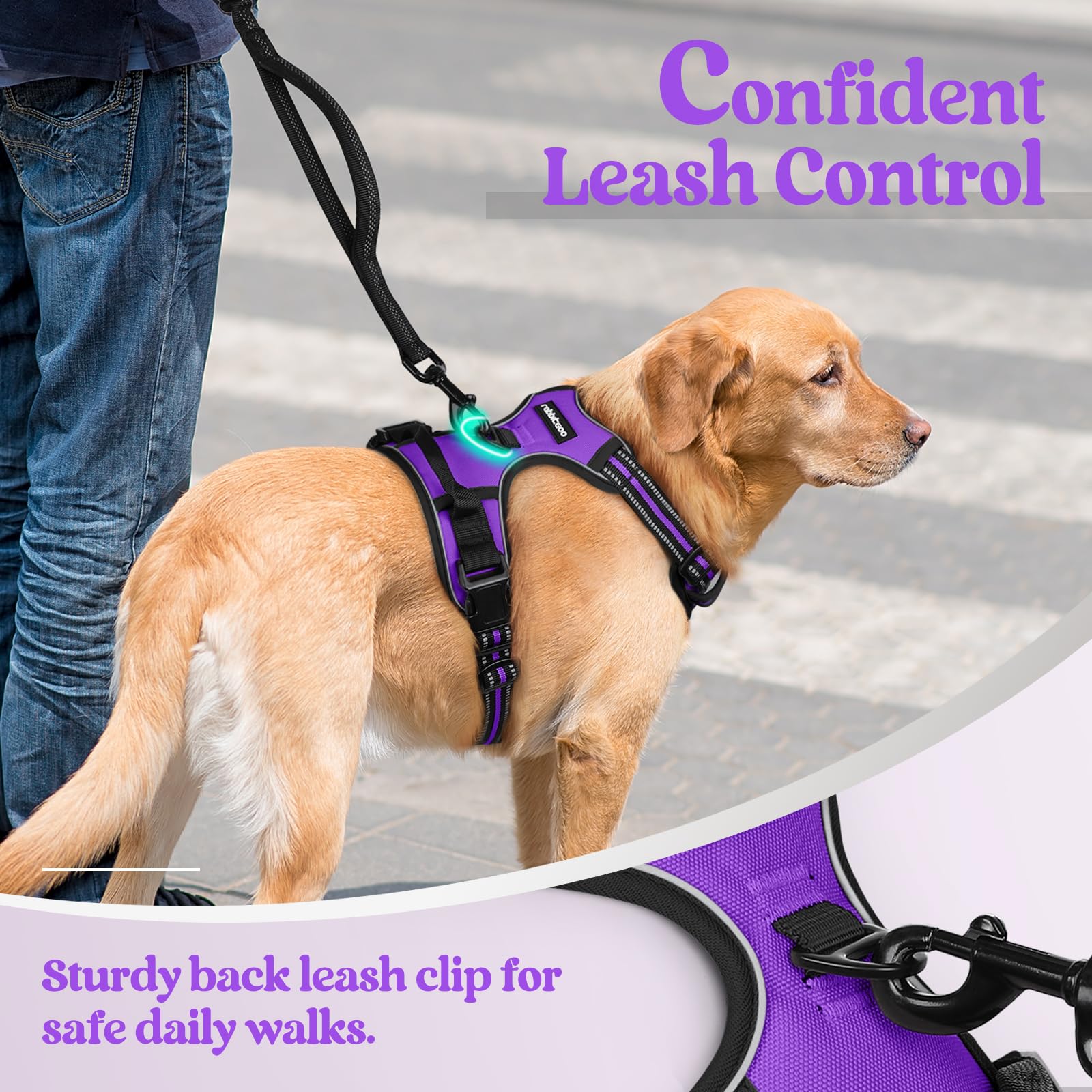 Rabbitgoo top handle provides extra control during training and crowds.