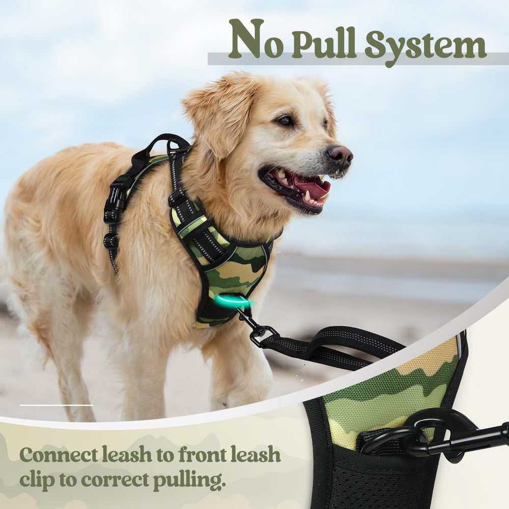Top handle and quick-release buckles enable quick, controlled transitions.