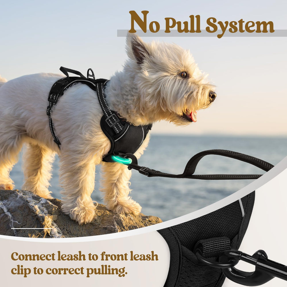 rabbitgoo top-handle design provides extra control on walks