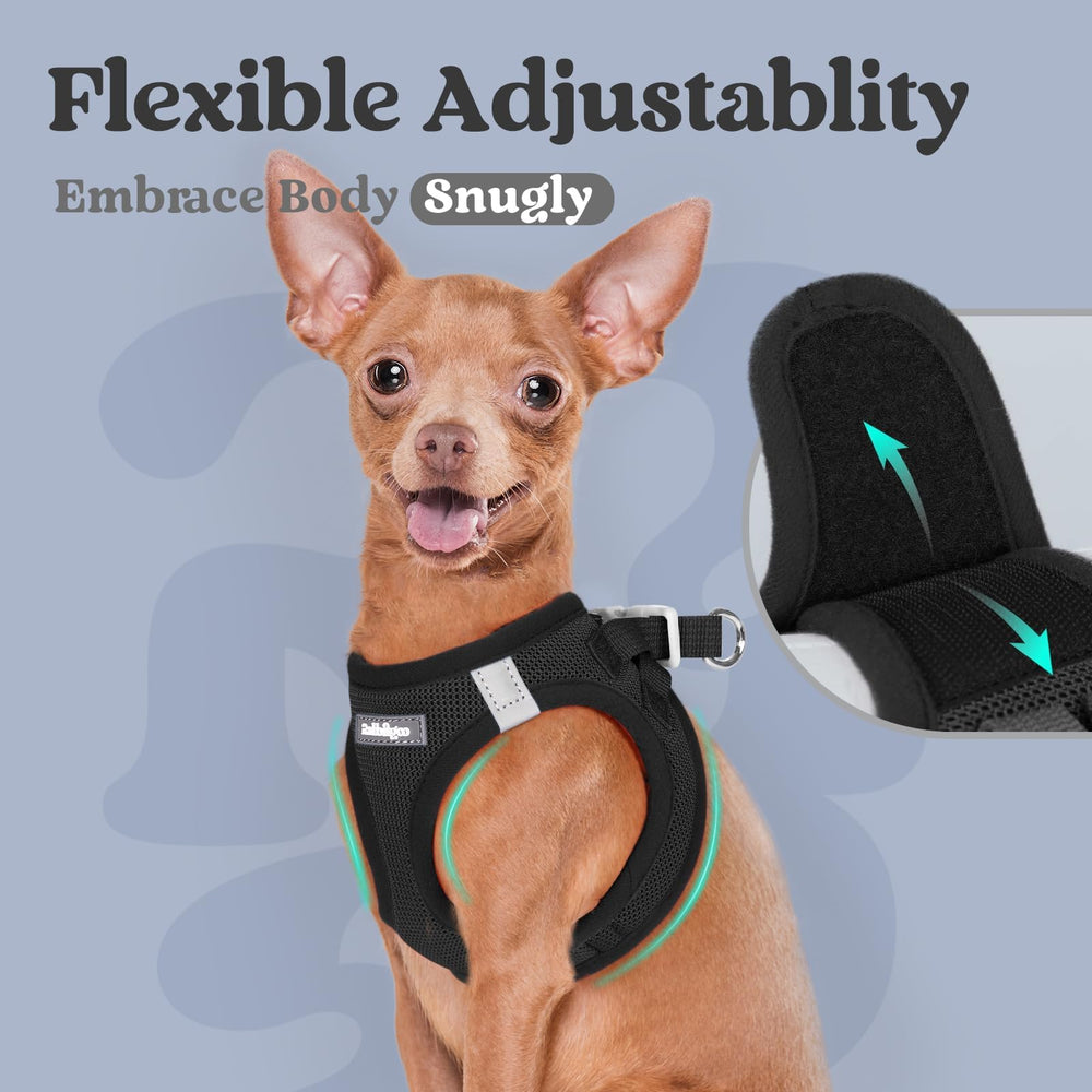 Rabbitgoo travel and daily use harness for small dogs