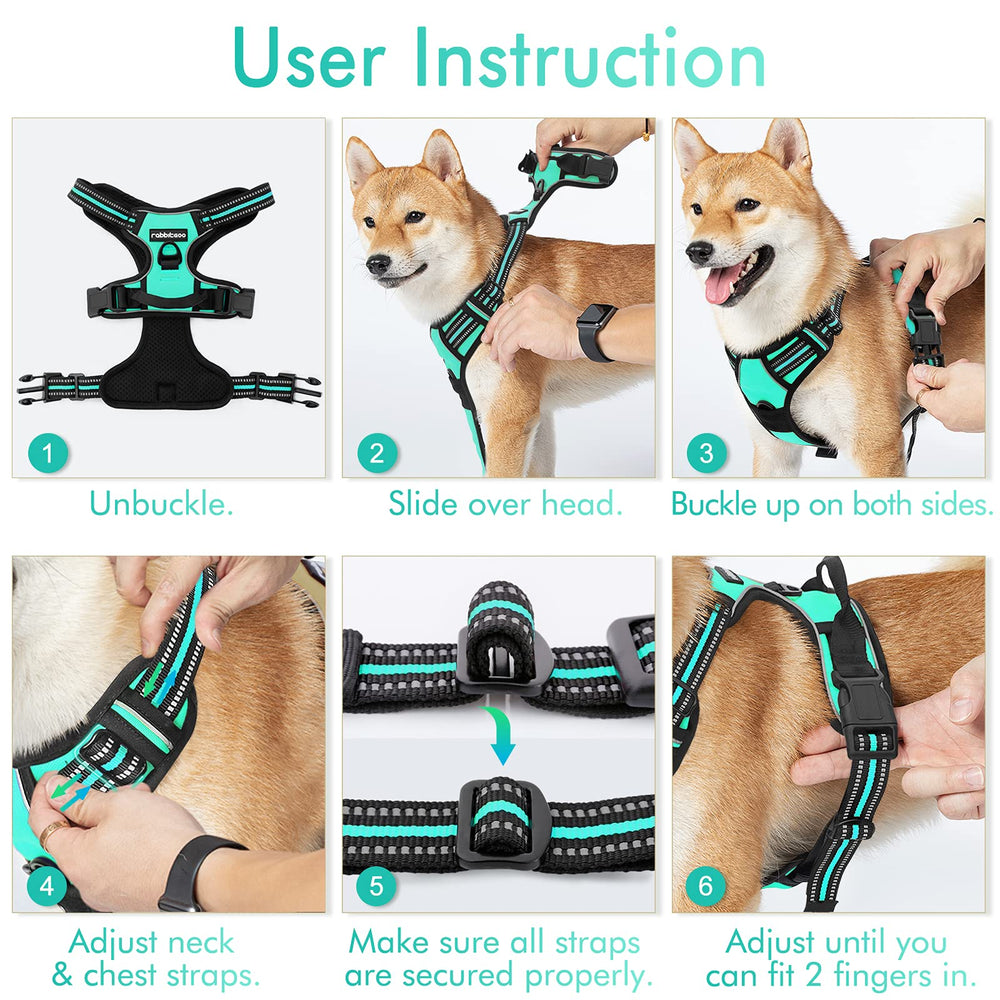 Rabbitgoo turquoise harness adds a bright, stylish touch to daily walks.