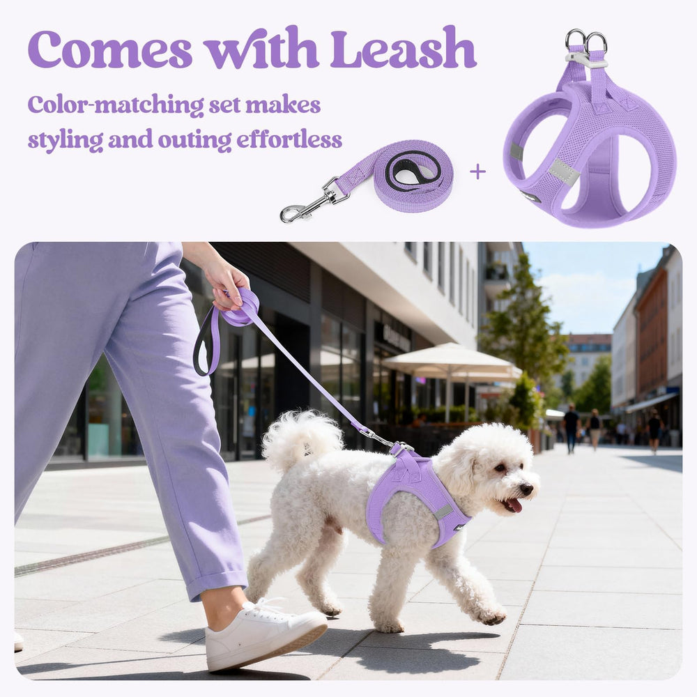 Rabbitgoo two-back D-rings provide secure attachment points.