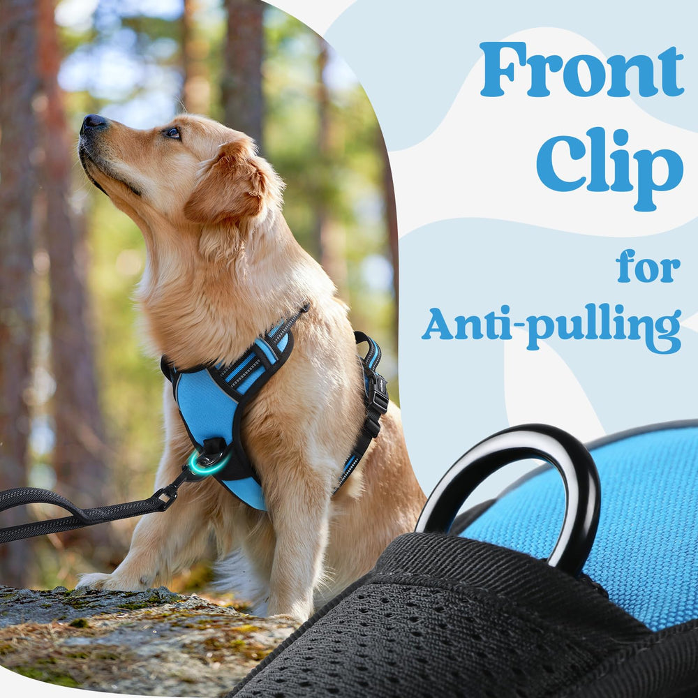 Rabbitgoo harness with two leash attachment points for versatility