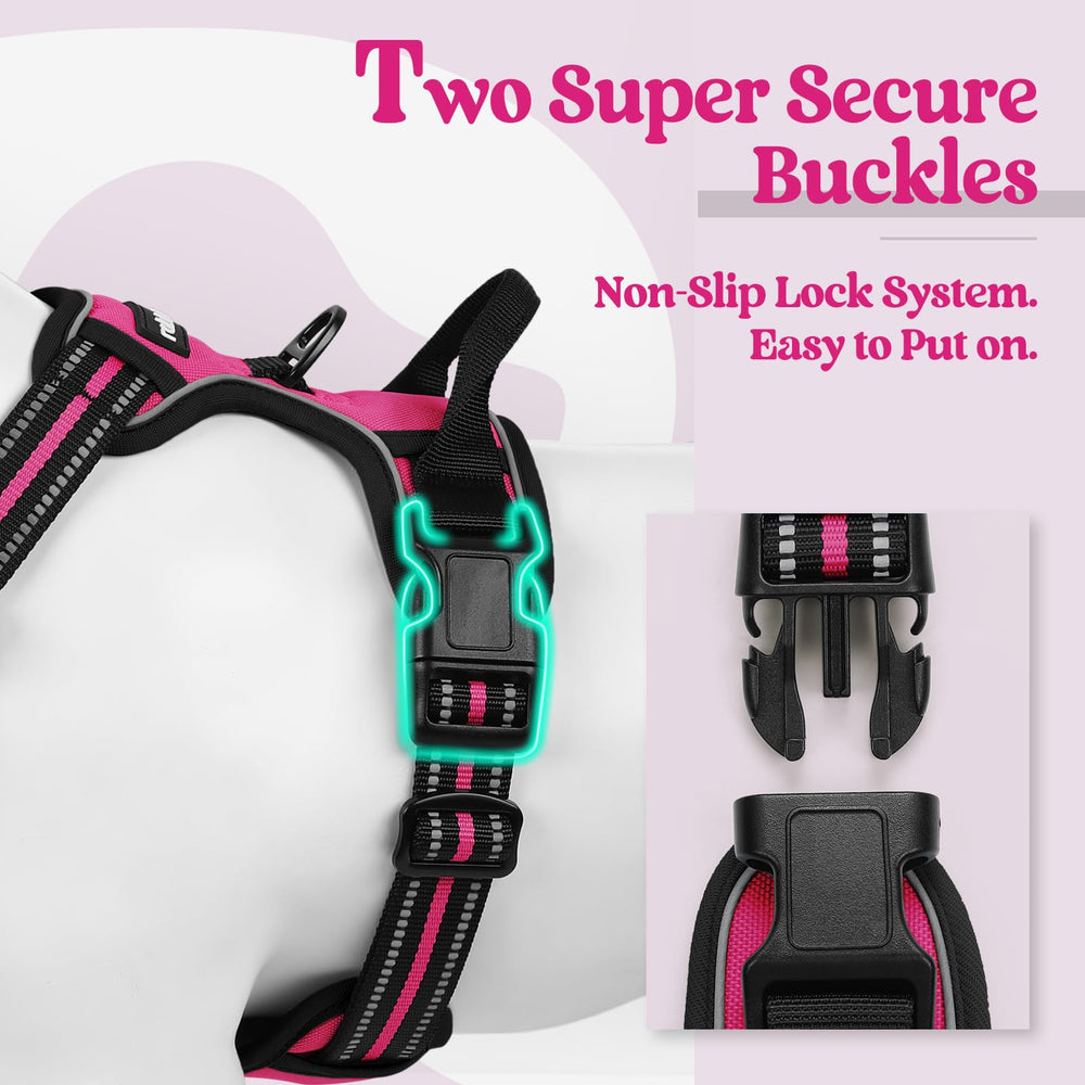 rabbitgoo two-leash-clips harness close-up highlighting safety and training versatility