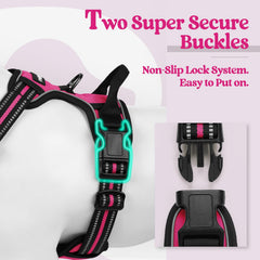 rabbitgoo two-leash-clips harness close-up highlighting safety and training versatility