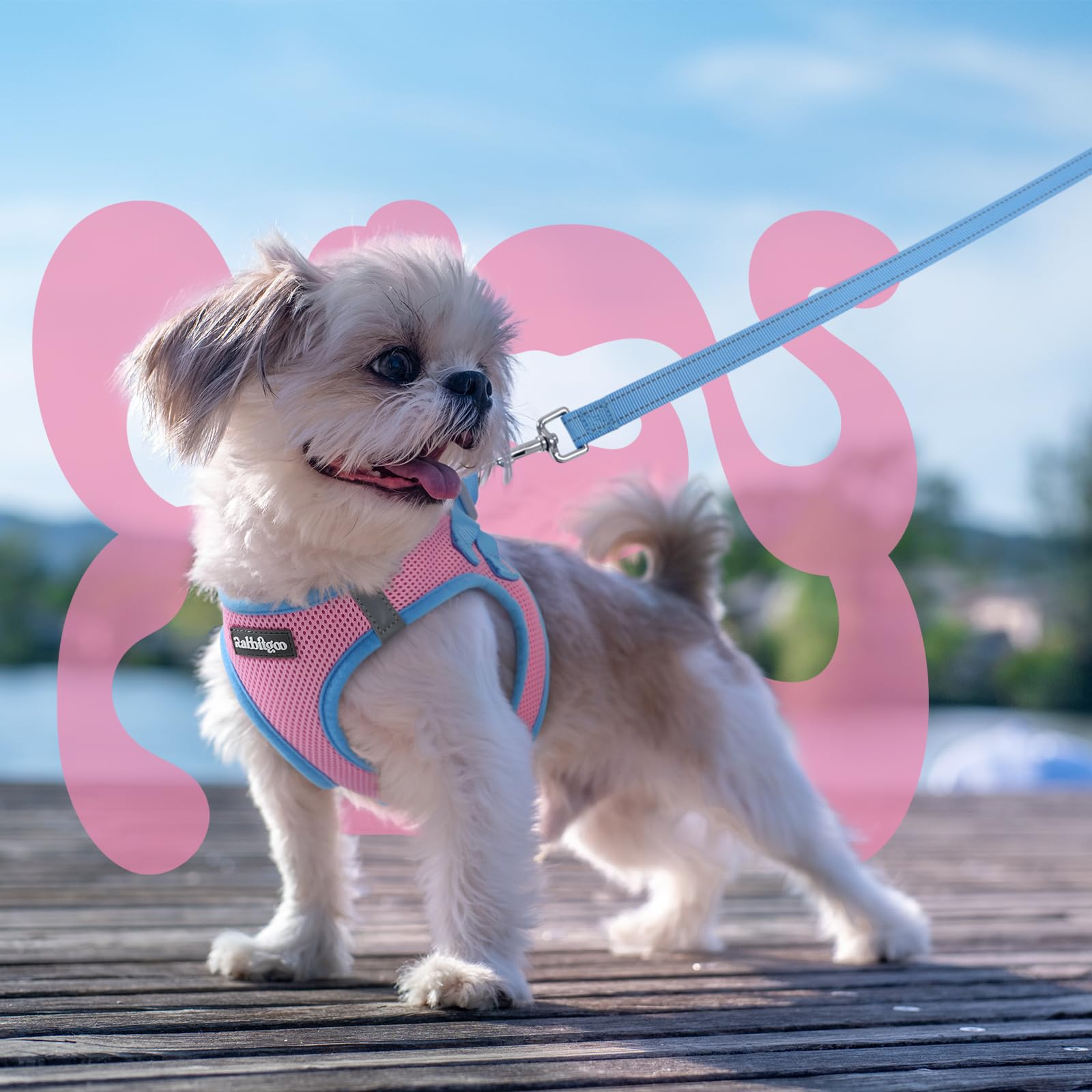 Rabbitgoo ultralight weight dog harness for all-day wear