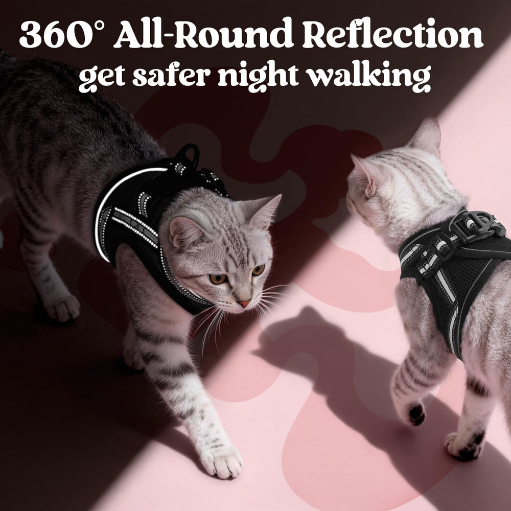 Rabbitgoo vest-style harness with adjustable straps for growing kittens.