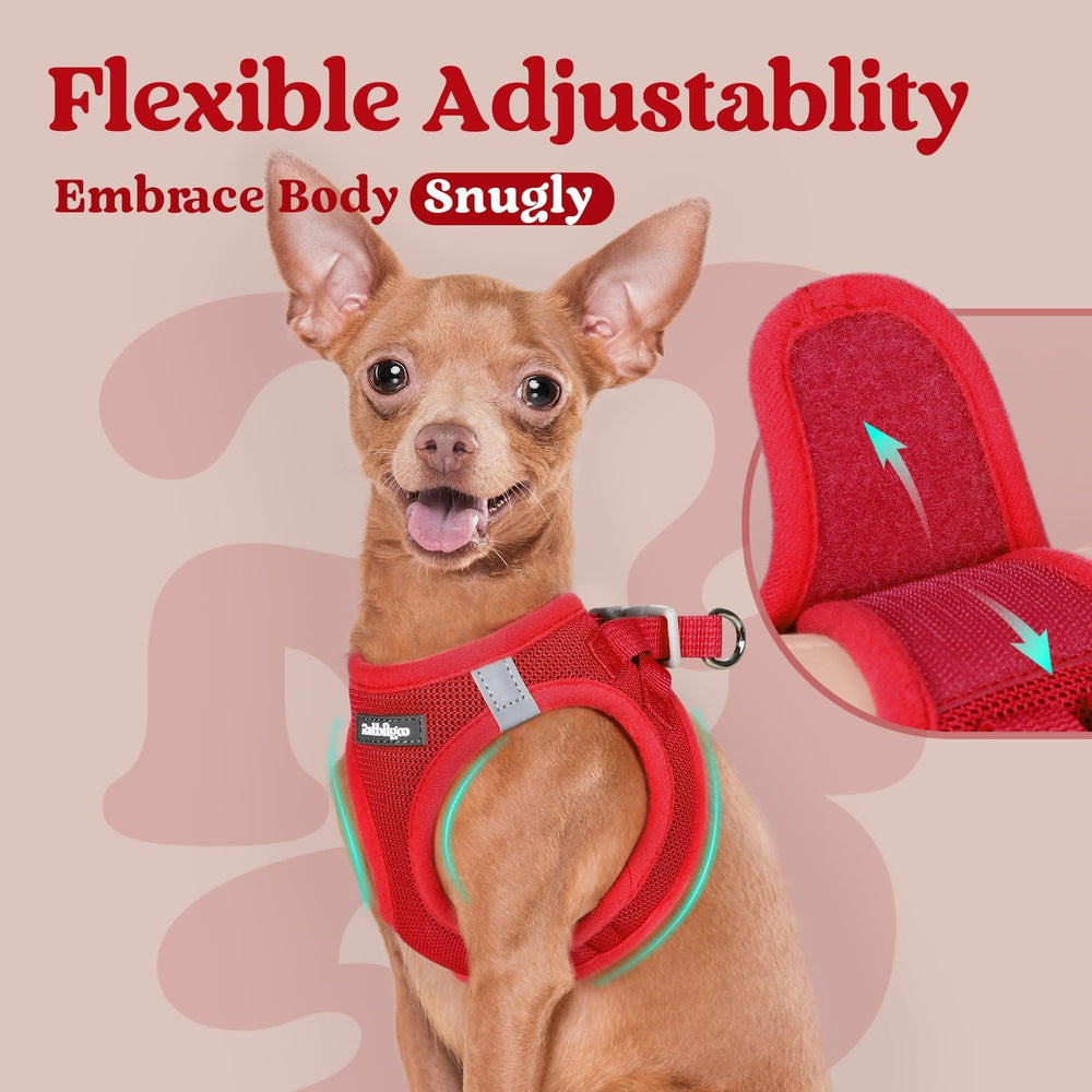 Rabbitgoo easy step-in design helps wriggly pups get ready quickly