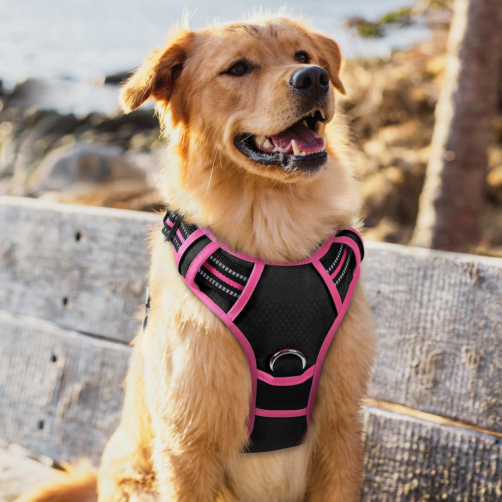 Rabbitgoo XL rose-pink harness with secure neck buckle.