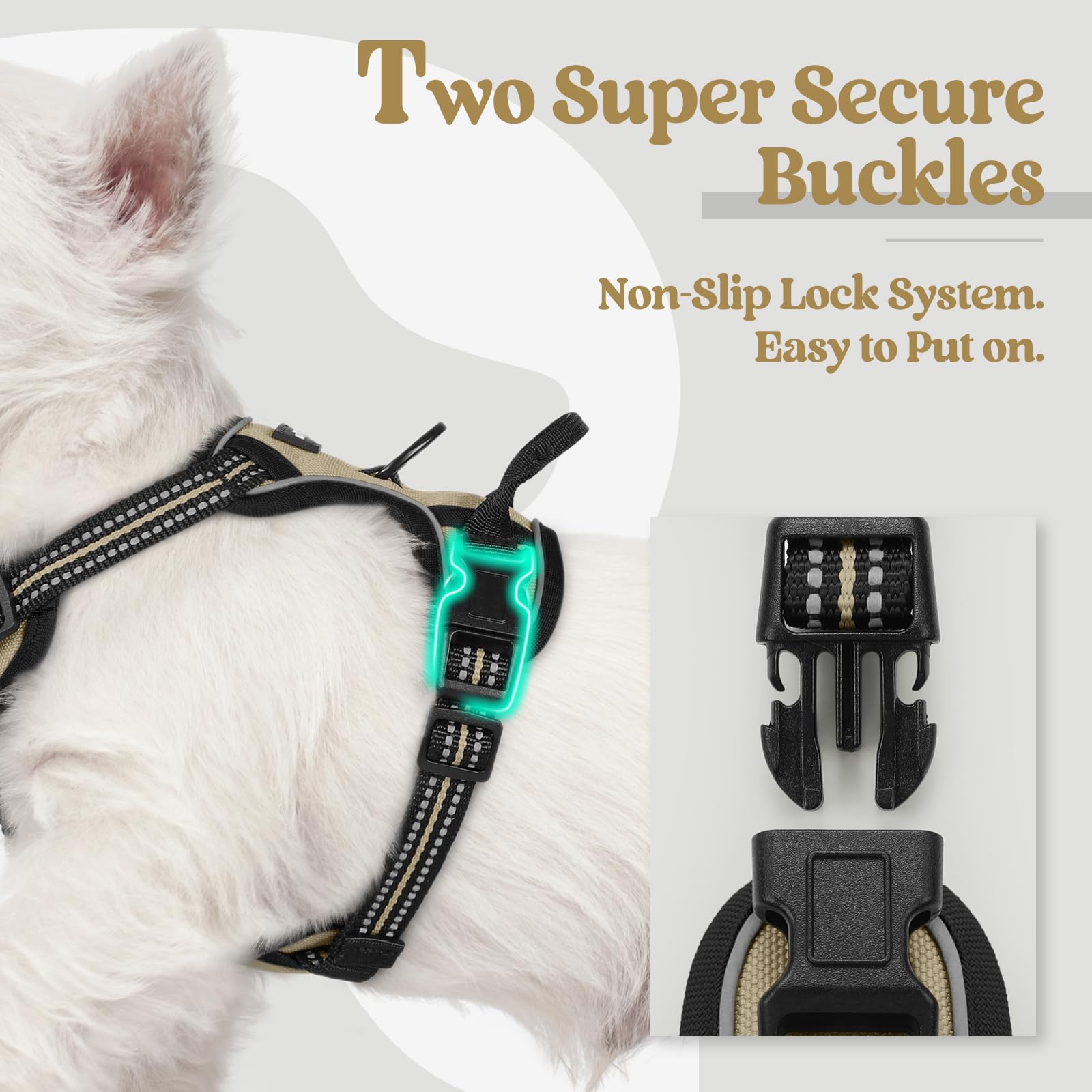 Rabbitgoo XS harness with soft padding for gentle comfort.
