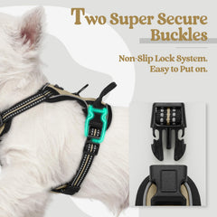 Rabbitgoo XS harness with soft padding for gentle comfort.