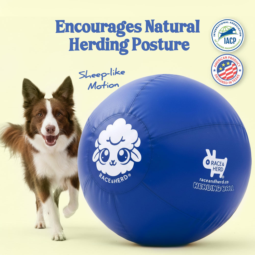 Race&Herd durable blue ball supports energetic play and positive training.