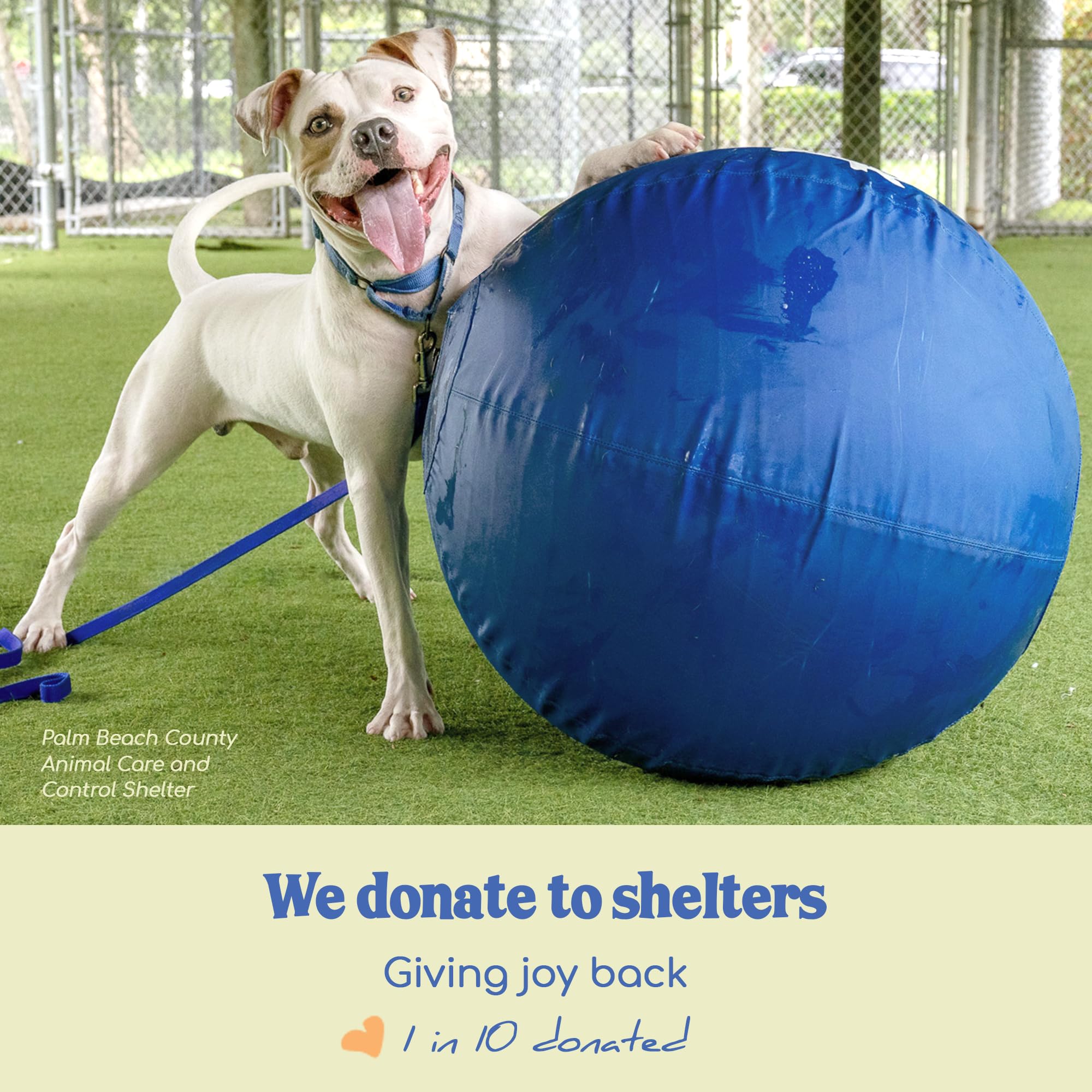 Race&Herd easy-clean blue ball for quick post-play cleanup.