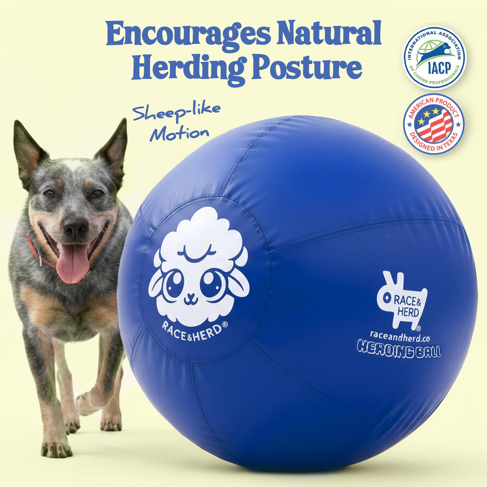 Race&Herd 25-inch XXL ball with durable rubber for outdoor use